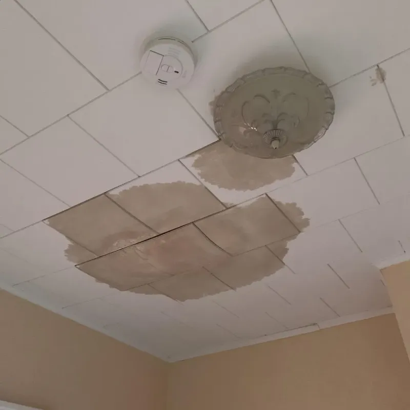 Ceiling Water Damage Repair in Bloomfield, NY