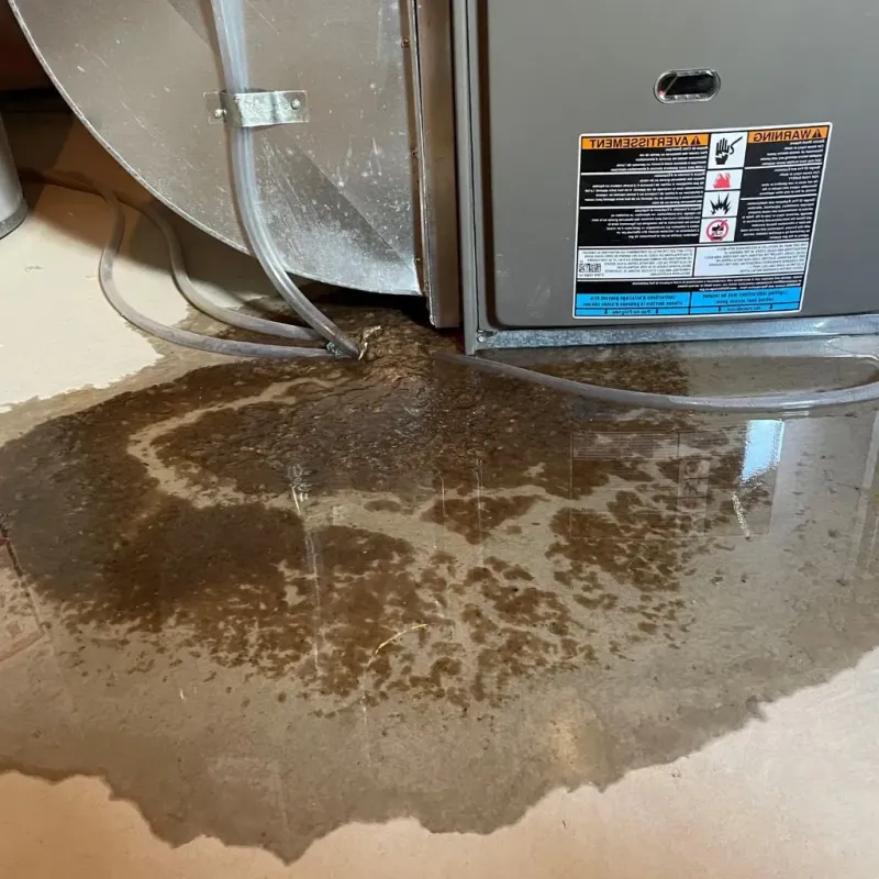 Pipe Burst and Leak Restoration in Bloomfield, NY